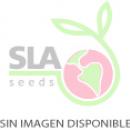 Siroco Siroco